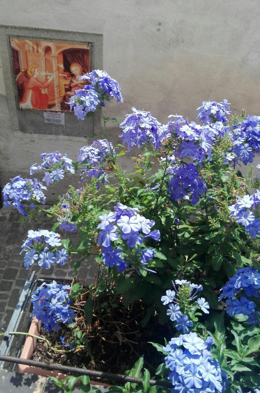 Palazzetto Bentivoglio